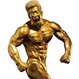 FIGURINE  NAKAYAMA KINNIKUN - NAKAYAMA KINNIKUN (GOLD) MUSCLE STARS PIECE - BANPRESTO Flo'Kaze