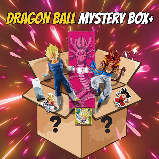 Dragon Ball Mystery Box + Flo'Kaze